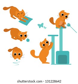 cat playing