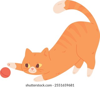 Cat playing with ball. Funny pet. Color animal isolated on white background