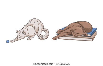 Cat Playing with Ball and Lying on Books Vector Set