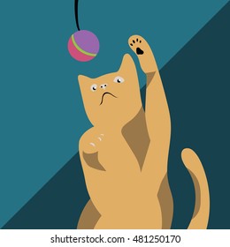 Cat playing with a ball with its paws up in the air
