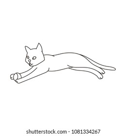Cat playing with ball. Vector illustration