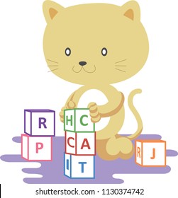 Cat playing with blocks