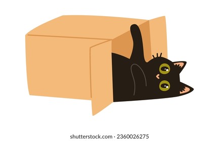 Cat Playing In Box Vector Illustration