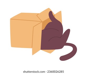 Ilustración del vector de caja de reproducción de gato