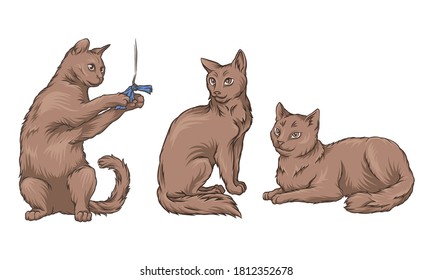 Cat Playing with Cord and Sitting Vector Set