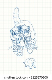 Cat playing with mouse, Blue pen sketch on square grid notebook page, Hand drawn vector linear illustration