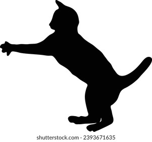 Cat playing silhouette, cat sitting vector, cat standing black on white background 