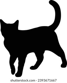 Cat playing silhouette, cat sitting vector, cat standing black on white background 