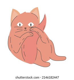 gato jugando con el icono de cola