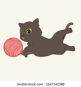 The cat playing with thread ball , adorable cat lying on the ground