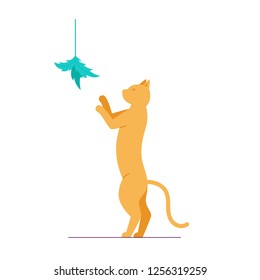 Cat playing with a toy. Color vector illustration. White background