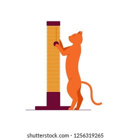 Cat playing with a toy. Color vector illustration. White background