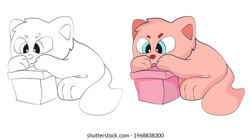 The cat plays with a box. Cute flat vector illustrations in children's cartoon style. A funny character. Isolated on white background