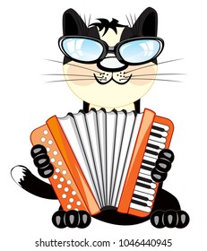 Cat plays on accordeon