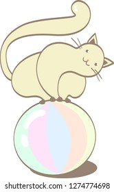 the cat plays sitting on the ball