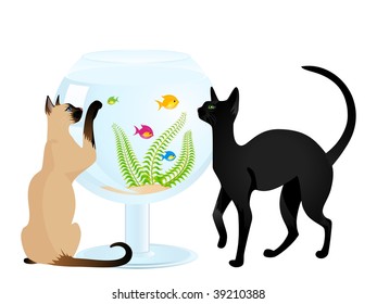  The cat plays with a small fish in an aquarium a white background