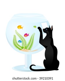  The cat plays with a small fish in an aquarium a white background