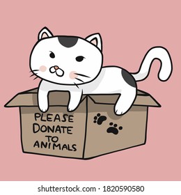 Cat in please donate to animals box cartoon vector illustration