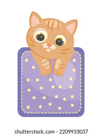 Cat in pocket. Clothing accessory, graphic element for website, poster or banner. Sewing and needlework, creativity and art. Charming kitten on purple square. Cartoon flat vector illustration