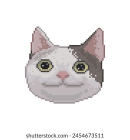 Cat with poker face, pixel art meme