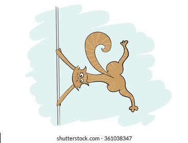 Cat is pole dancer