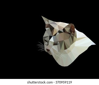 Cat polygon vector isolate