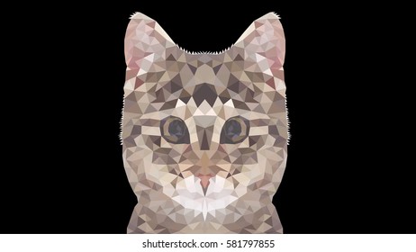 Cat polygonal graphics vector illustration , Black background