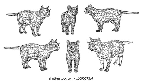 Cat polygonal lines illustration. Abstract vector cat on the white background