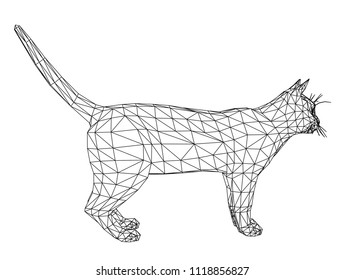 Cat polygonal lines illustration. Abstract vector cat on the white background
