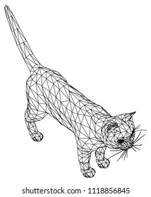 Cat polygonal lines illustration. Abstract vector cat on the white background