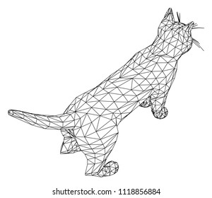 Cat polygonal lines illustration. Abstract vector cat on the white background