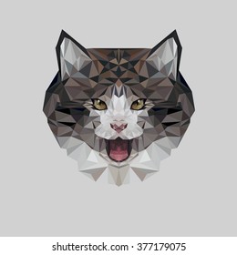 Cat in polygonal style. Triangle vector illustration of animal for use as a print on t-shirt and poster. Geometric low poly kitty design. Cat day. 