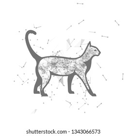 cat.  Polygonal wireframe cat silhouette. low poly vector illustrations on background of points and lines.