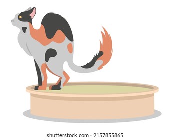 El gato se sube al baño de la caja de basura con un icono del vector de arena. Bandeja de mascotas para excreción de heces felinas y orina. Cómico animal doméstico sentado en una ilustración higiénica de la caja de basura
