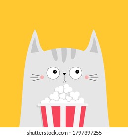 Cat and popcorn box. Kitten watching movie. Cute cartoon funny character. Kids print for tshirt notebook cover. Cinema theater. Film show. Isolated. Yellow background. Flat design. Vector illustration