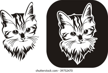 cat portrait