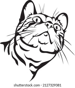 Gato, retrato de gato bengalí en blanco y negro para logotipo, marca comercial, impresión y tatuaje