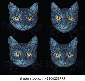 Cat portrait. Design set. Editable hand drawn illustration. Vector vintage engraving. 8 EPS
