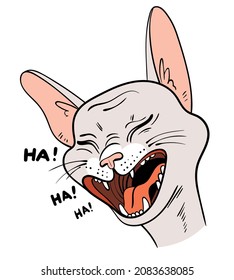 Cat portrait drawing. Laughing Cat face. Cartoon characters. Funny vector illustration. Isolated on white background. 