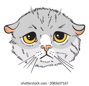 Cat Portrait Drawing. Sad Cat. Cartoon Characters. Funny Vector Illustration. Isolated On White Background
