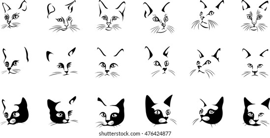 cat, portrait, graphic image, black, portraits of cats