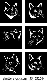 Cat, portrait, graphic image, black portraits of cats