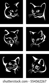 Cat, portrait, graphic image, black portrait of cats
