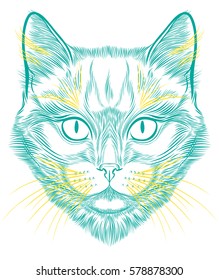 Cat portrait hand drawn in lines. Stylized doodle isolated vector illustration