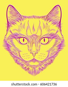 Cat portrait hand drawn in lines. Stylized doodle isolated vector illustration