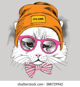 Cat portrait in Hipster Hat   and glasses  Vector illustration 