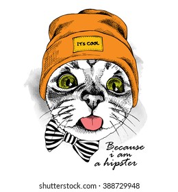 Retrato de gato en un sombrero Hipster. Ilustración vectorial.