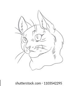 cat portrait, lines, vector, white background