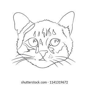 cat portrait, lines, vector, white background