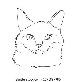 cat portrait, lines, vector, white background, cat portrait